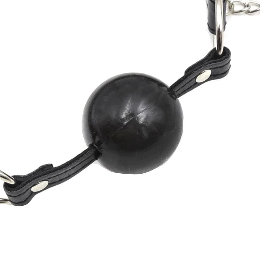 Nipple Buster Ball Gag Bondage BDSM, gallery view 3