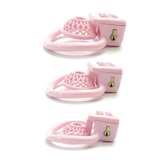 3D 4Rings Super Small Reticular BDSM Chastity Cage product view