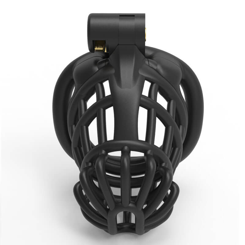 3D Stegosaurus Spine Bone Chastity Device Kit, gallery view 3