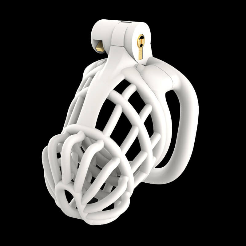 3D Stegosaurus Spine Bone Chastity Device Kit, gallery view 6