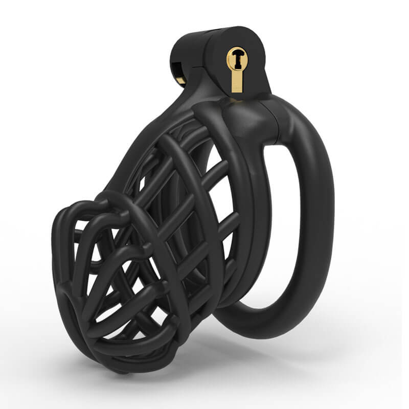 3D Stegosaurus Spine Bone Chastity Device Kit, gallery view 2