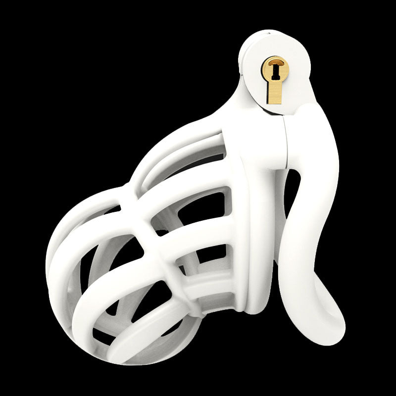 3D Stegosaurus Narrow Face Chastity Device Kit, gallery view 6