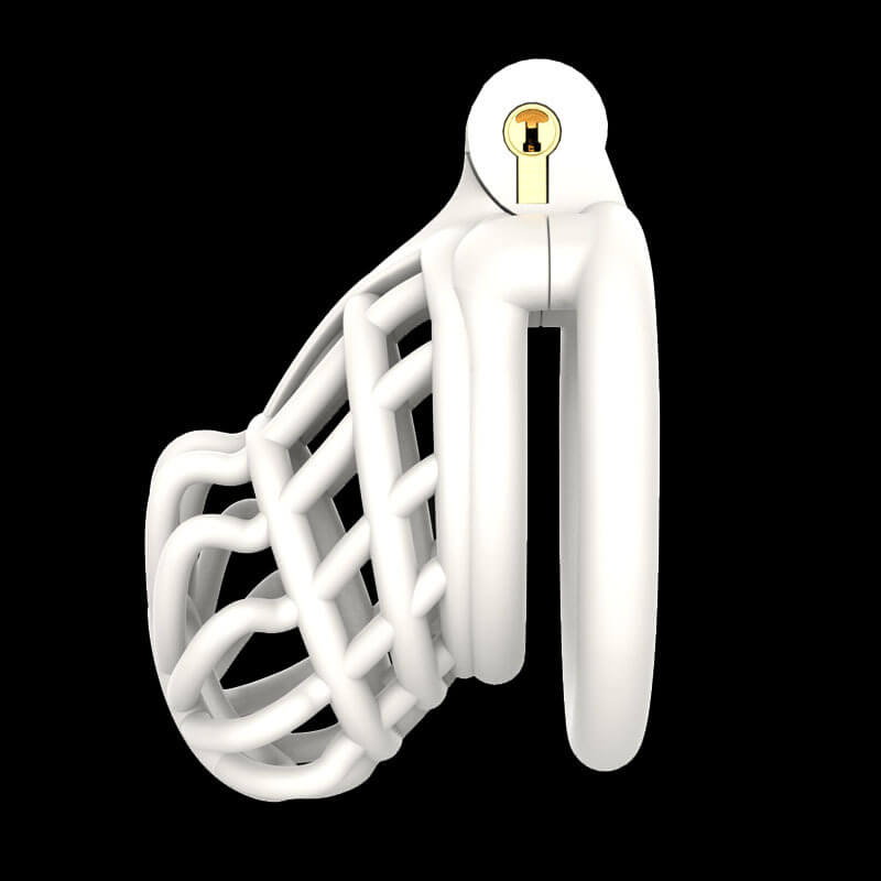 3D Stegosaurus Spine Bone Chastity Device Kit, gallery view 5