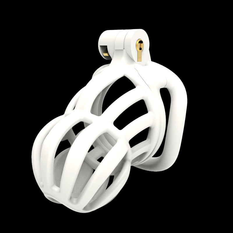 3D Stegosaurus Narrow Face Chastity Device Kit, gallery view 5