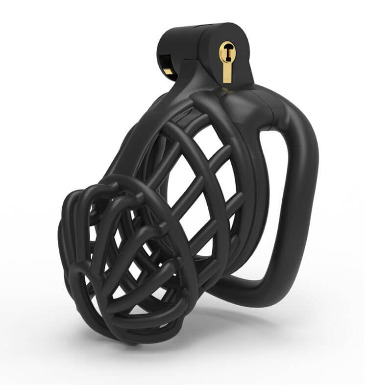 3D Stegosaurus Spine Bone Chastity Device Kit, gallery view 4