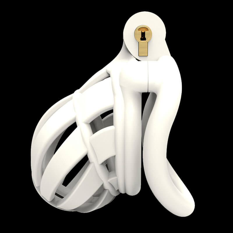 3D Stegosaurus Wide Head Chastity Device Kit, gallery view 6