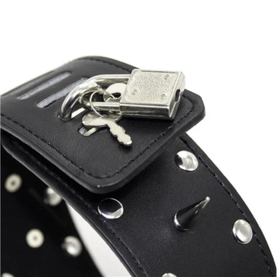 Leather Black Barbed Collar With Leash, gallery view 4