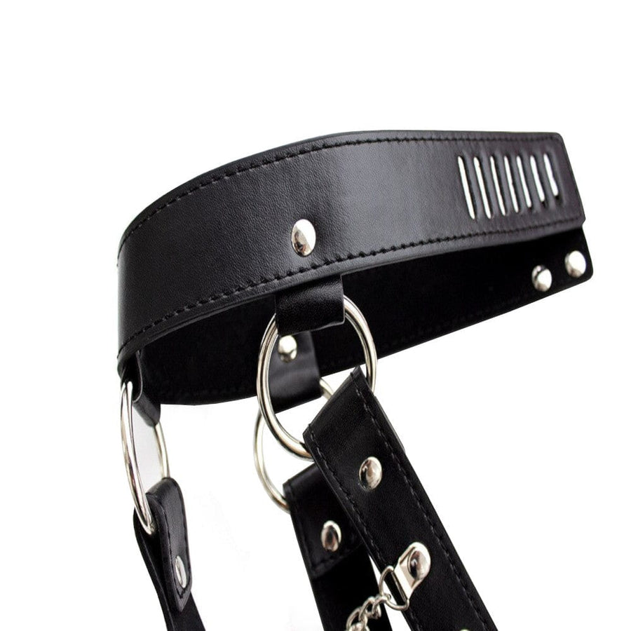 Sensual Playtime Tease Sex Collar, gallery view 5