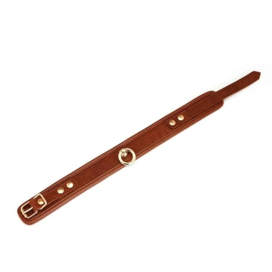 Premium Brown Designer S&M Collar, gallery view 2
