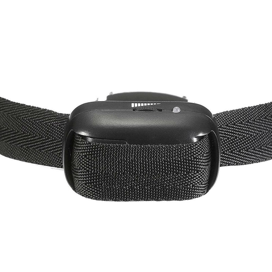 Electric Shock Battery Operated Collar, gallery view 5