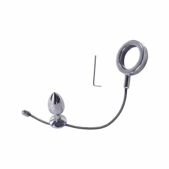 Backdoor Play Cock Ring Anal Plug BDSM product view