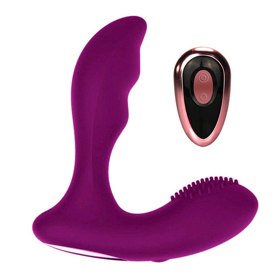 Dual-motor Prostate Vibrator BDSM product view