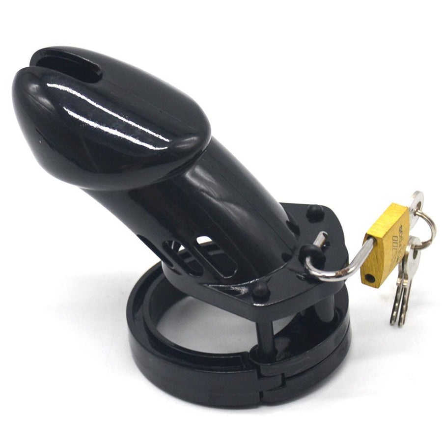 Mia Plastic Cage 3.15 inches and 3.94 inches Long ( All 5 Rings Included ), gallery view 27