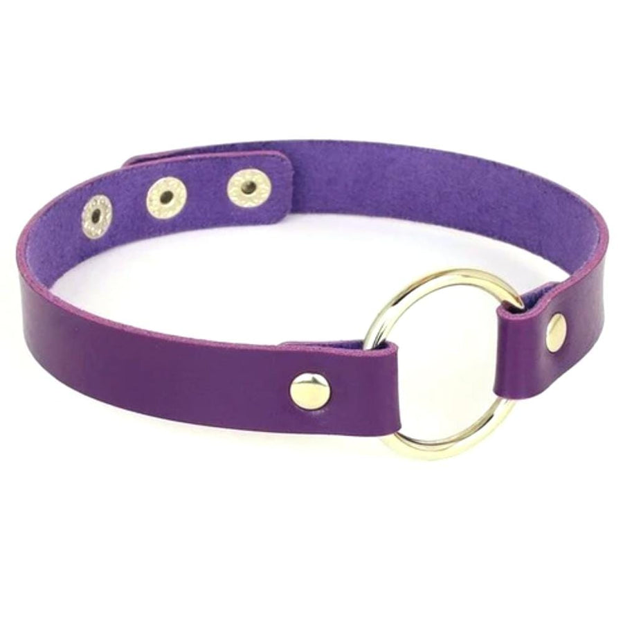 BDSM Colorful Synthetic Leather Choker, gallery view 10
