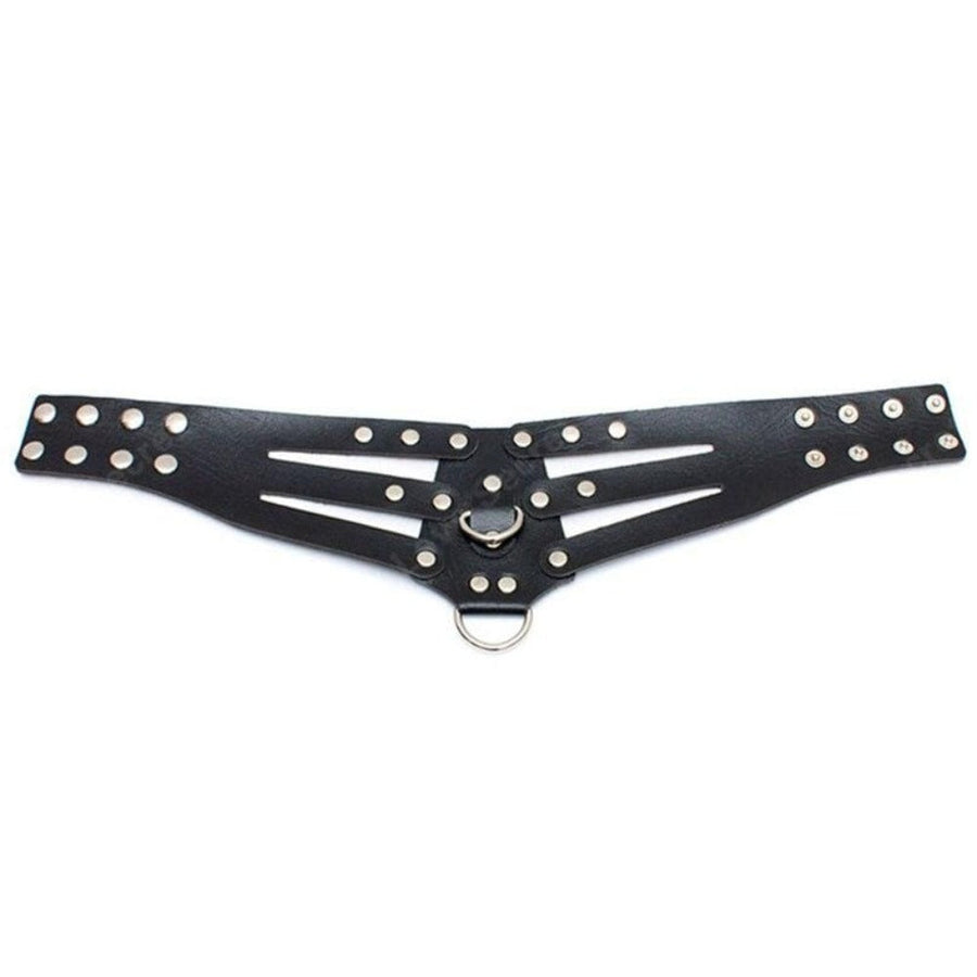 Seductive PU Leather Posture Collar, gallery view 2