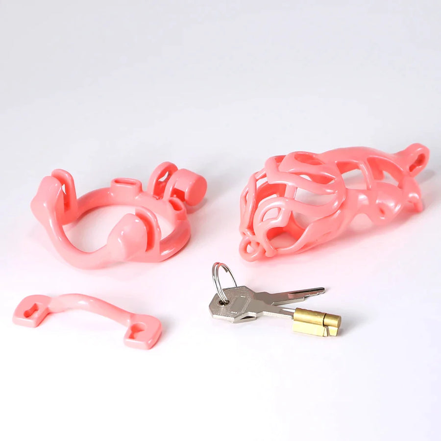 Bullhead Chastity Cage Set, gallery view 5