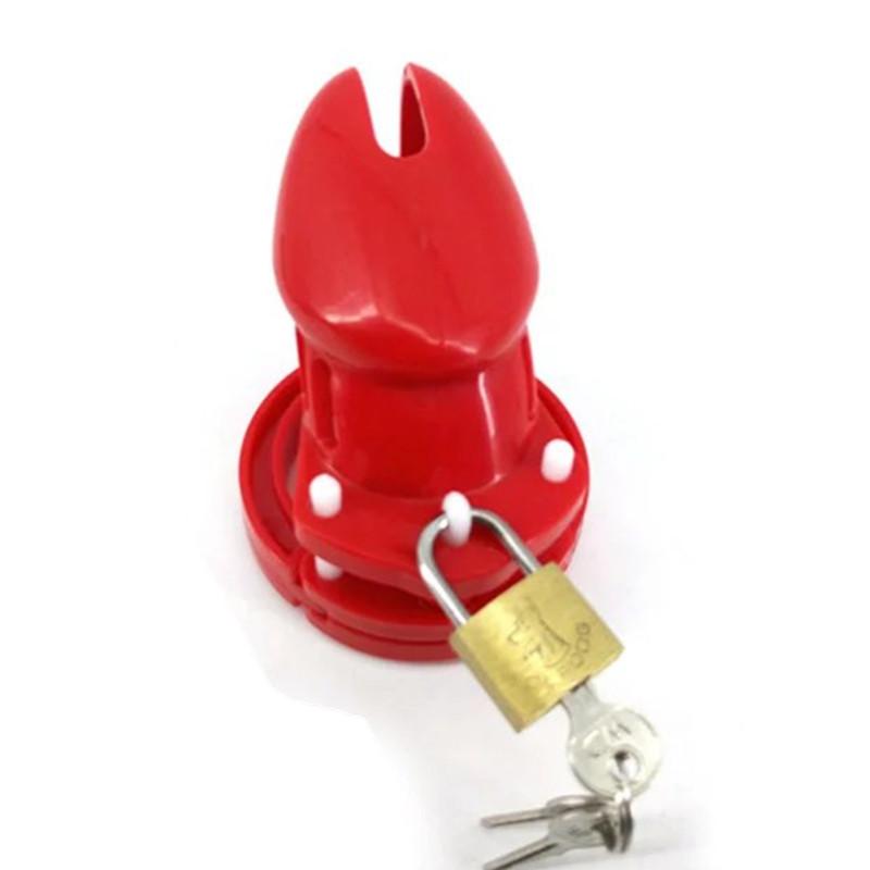 Mia Plastic Cage 3.15 inches and 3.94 inches Long ( All 5 Rings Included ), gallery view 4