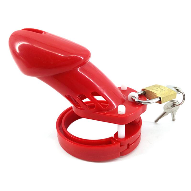 Mia Plastic Cage 3.15 inches and 3.94 inches Long ( All 5 Rings Included ), gallery view 2