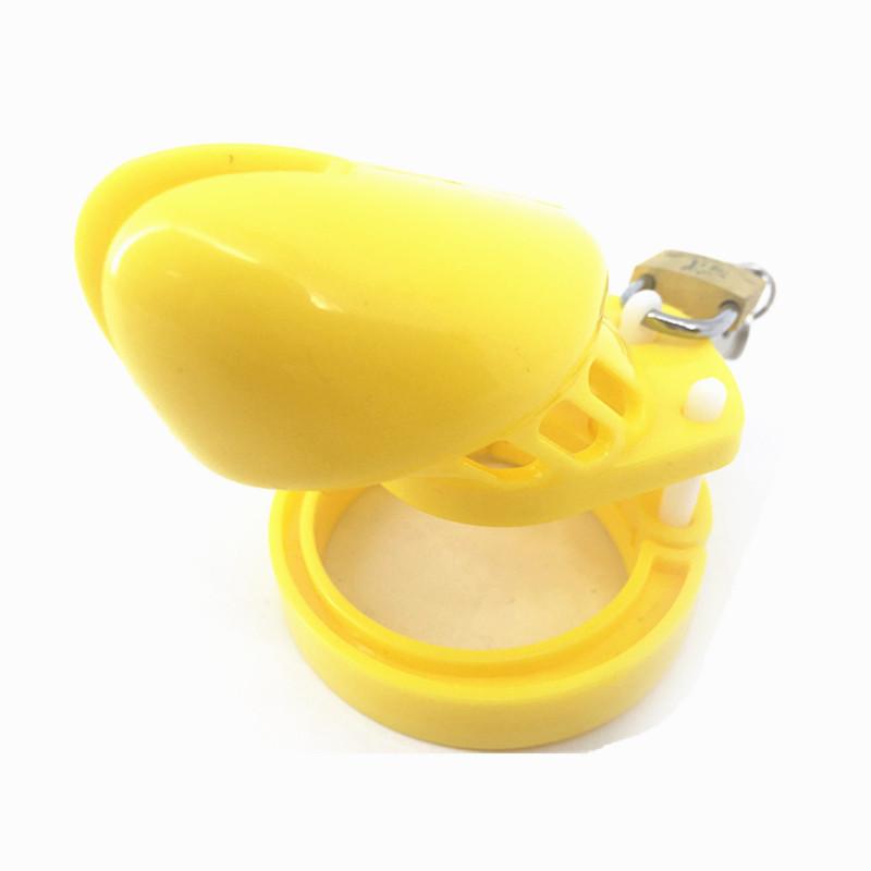Mia Plastic Cage 3.15 inches and 3.94 inches Long ( All 5 Rings Included ), gallery view 19