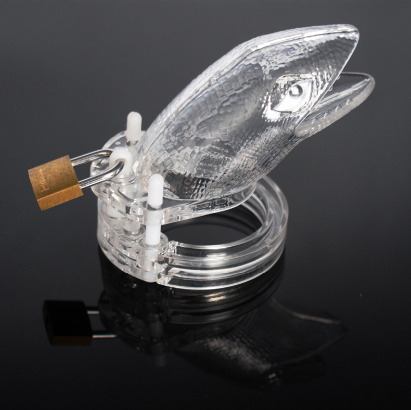 Chastity Cage 3.81 Inches Long (All 5 Rings Included), gallery view 6