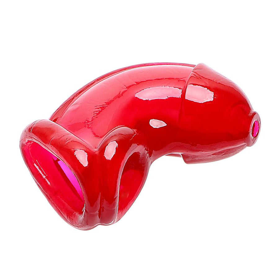 Victoria Chastity Device 5.12 inches long, gallery view 2