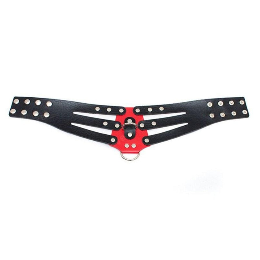 Seductive PU Leather Posture Collar, gallery view 3