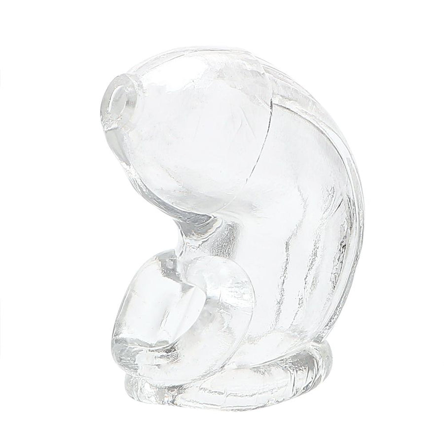 Victoria Chastity Device 5.12 inches long, gallery view 3