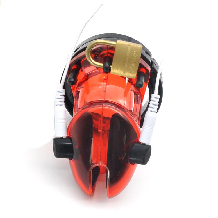Raelynn Electra Plastic Cage 2.76 inches and 3.54 inches long size guide, gallery view 2