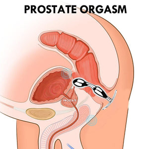 Bauchiger Prostatamassager aus Metall BDSM