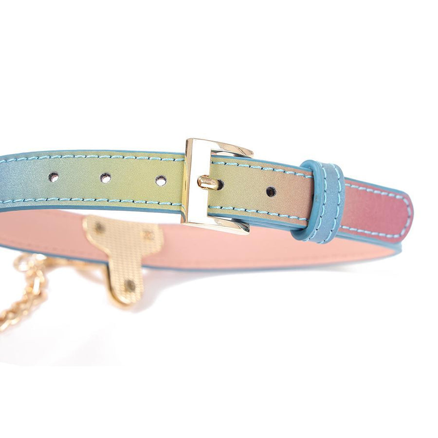 Fancy Unicorn Rainbow and Gold Collar With Leash, gallery view 2