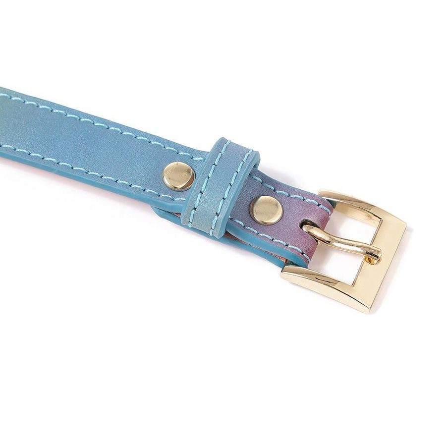 Fancy Unicorn Rainbow and Gold Collar With Leash, gallery view 4