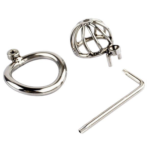 Allison Male Chastity Device 1.77 inches long, gallery view 2