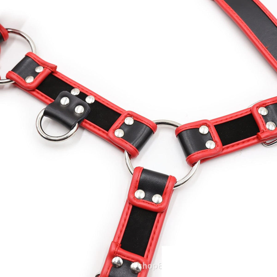 Man Slave Perfect Bondage Chest Harness, gallery view 4