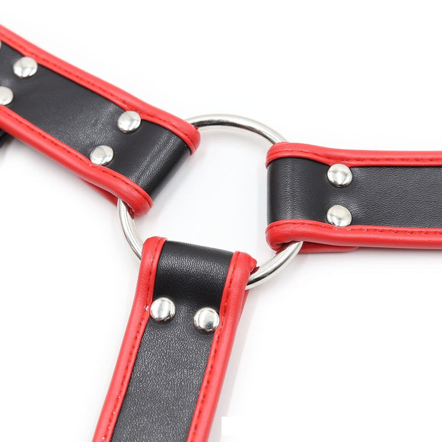 Man Slave Perfect Bondage Chest Harness, gallery view 5