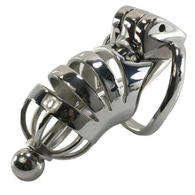 Load image into Gallery viewer, Paisley Male Chastity Device 3.66 inches long

