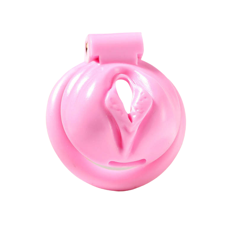 Pink Pussy Shaped Resin Chastity Cage product view