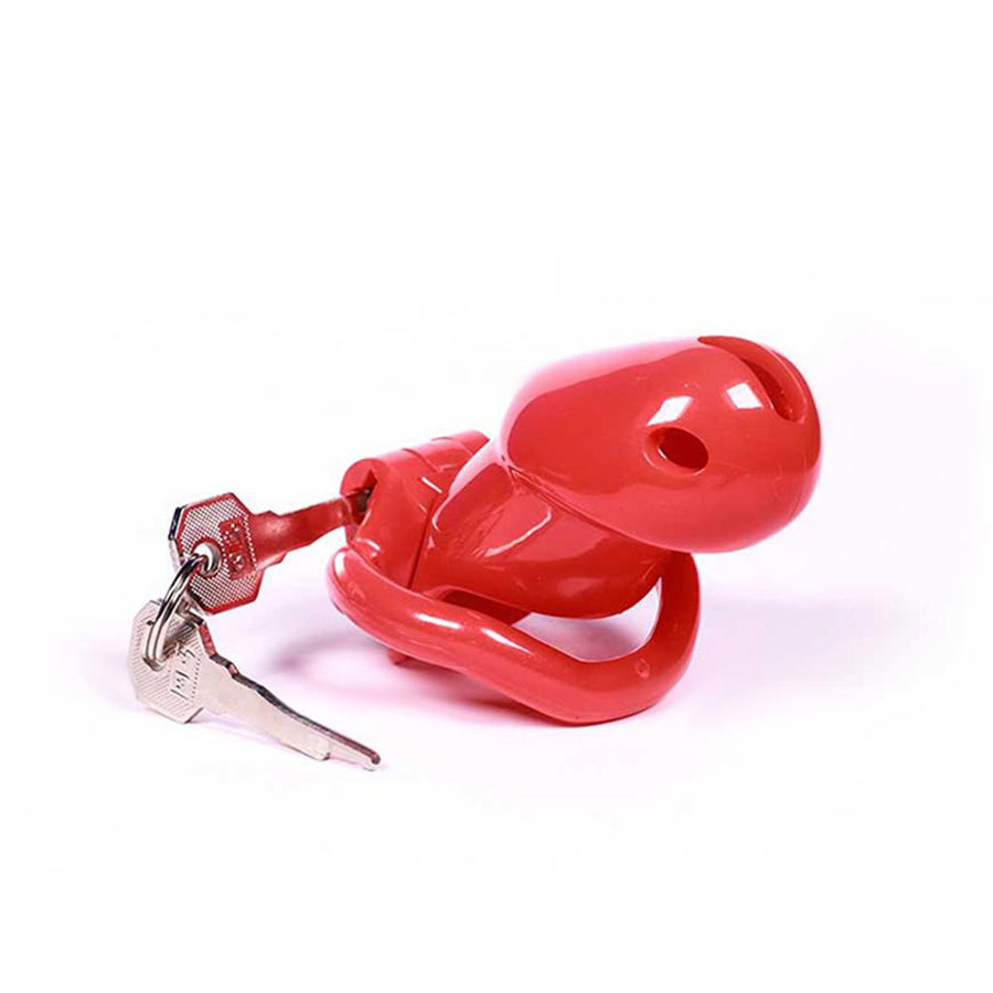 Sissy in Pink Resin Chastity Cage 1.89 and 2.35 inches long, gallery view 12