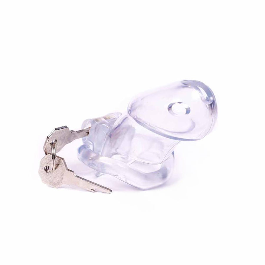 Sissy in Pink Resin Chastity Cage 1.89 and 2.35 inches long, gallery view 15