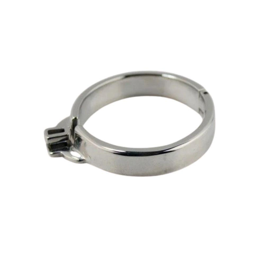 Accessory Ring For Metal Chastity Device, gallery view 2