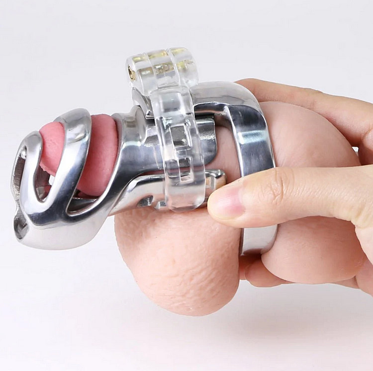 Detachable Prince Albert Lock Chastity Cage product view
