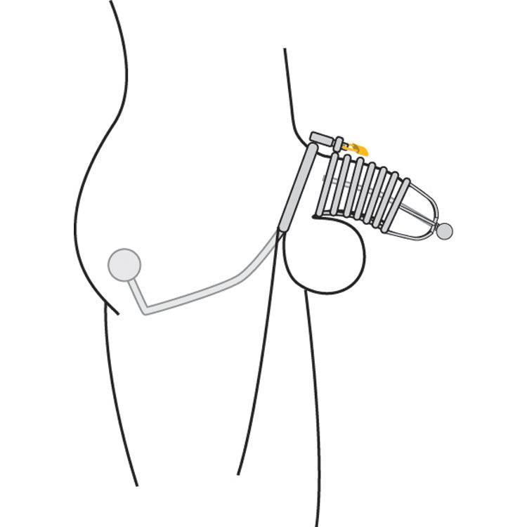 Condemned Penetration Cage with Anal Insertion, gallery view 5