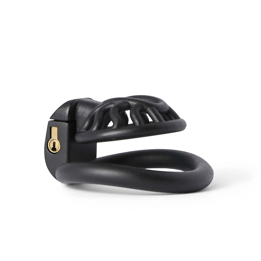 BDSM 3D Printing Sun Spider Chastity Device, gallery view 5