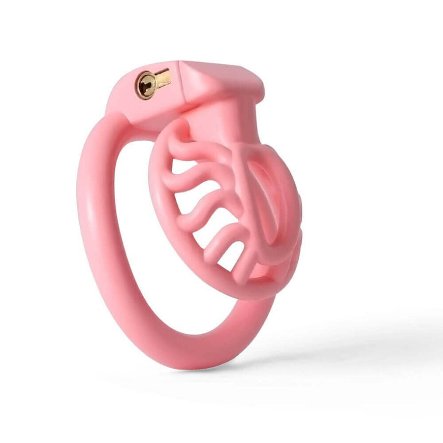 BDSM 3D Printing Sun Spider Chastity Device, gallery view 3