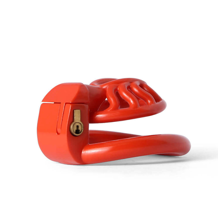 BDSM 3D Printing Sun Spider Chastity Device, gallery view 7