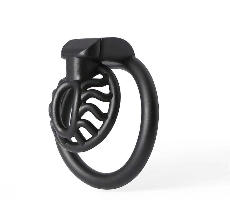 BDSM 3D Printing Sun Spider Chastity Device, gallery view 4