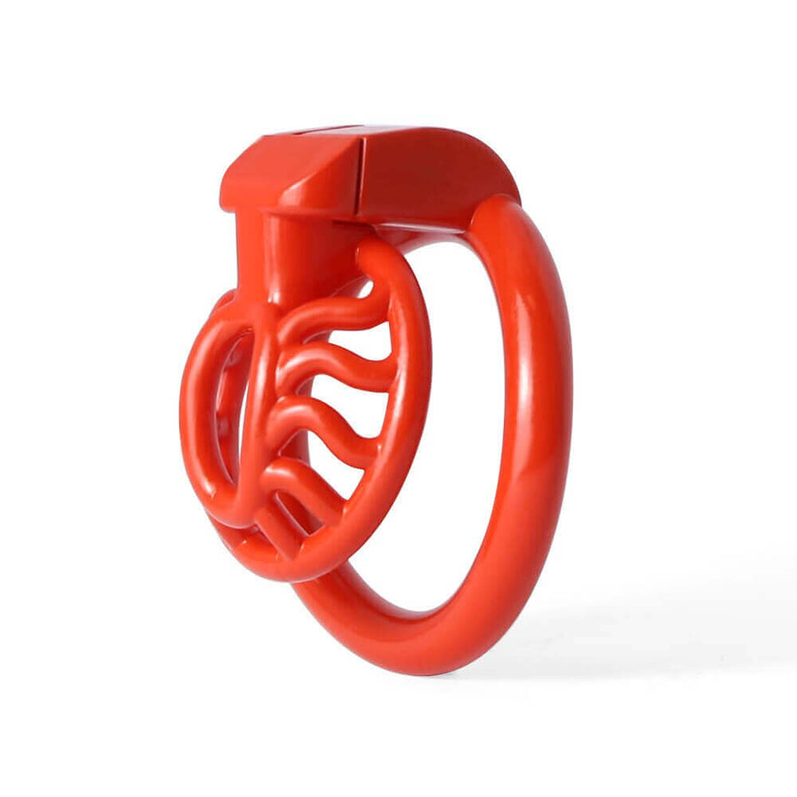 BDSM 3D Printing Sun Spider Chastity Device, gallery view 6