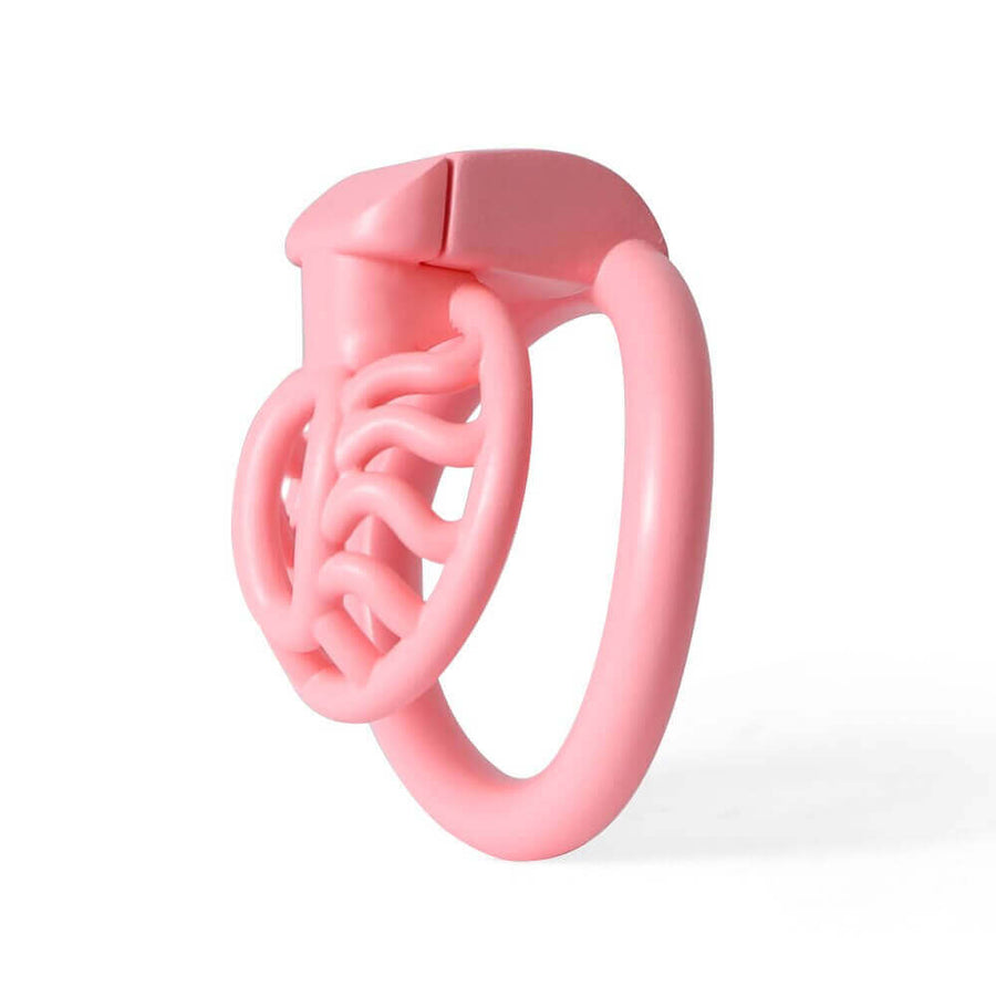 BDSM 3D Printing Sun Spider Chastity Device, gallery view 2