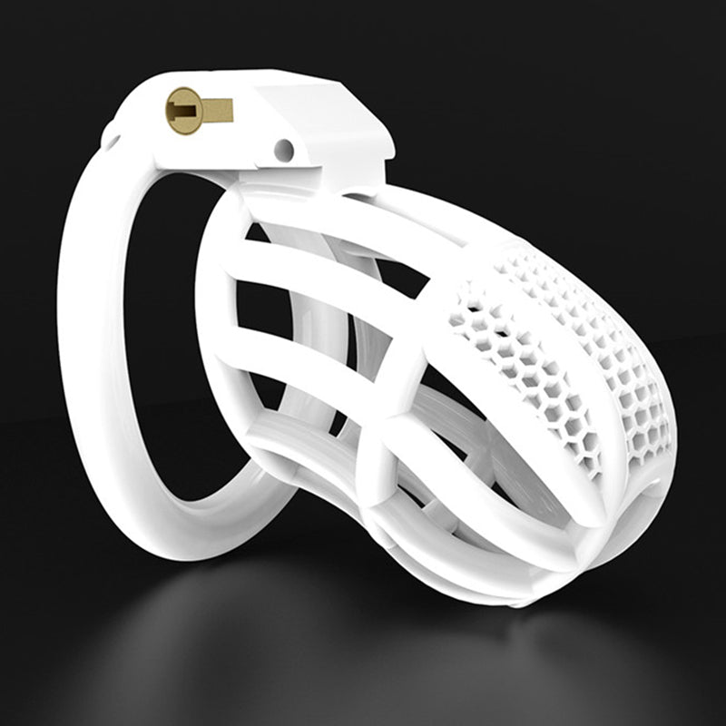 BDSM Hollow Male Chastity Device With 4 Ring, gallery view 5