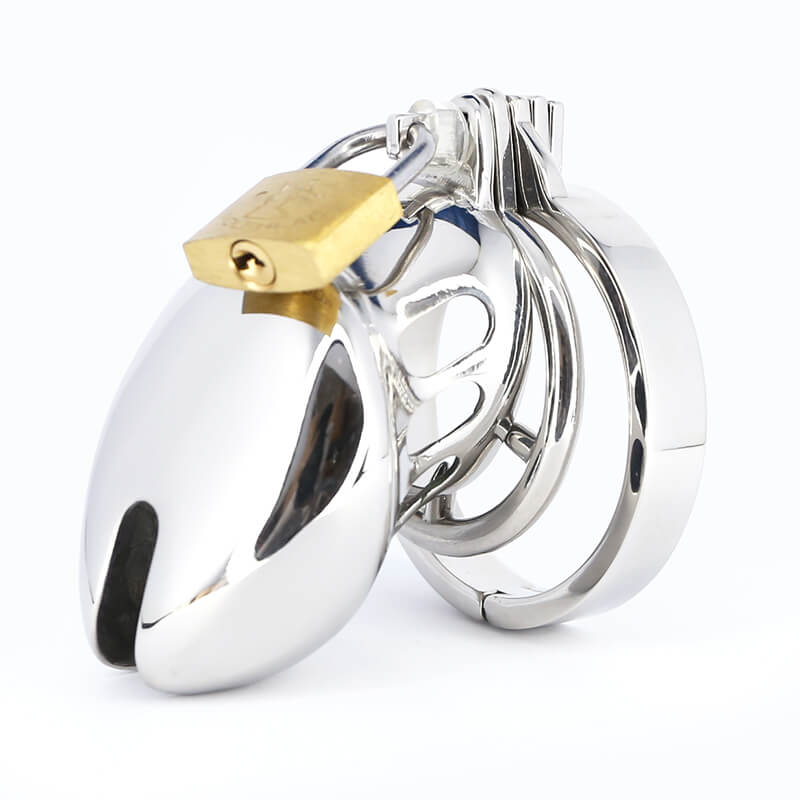 Bondage Stainless Steel Chastity Cage With Spike Ring product view