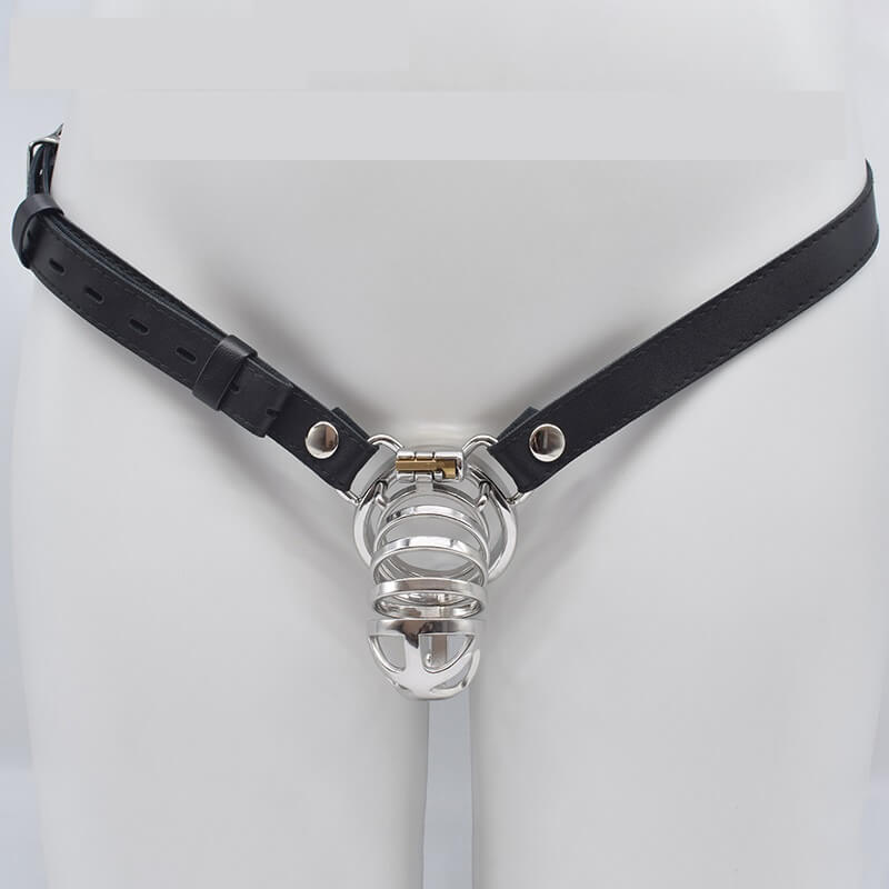Bondage Cock Cage with Male Chastity Belt, gallery view 2